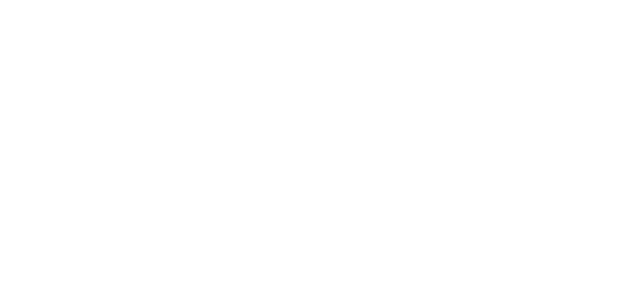 FSTO